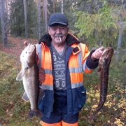 ���������� �����-���������, ���� ������� ������, 100 ���, ������������ ��� ������, ����� � ���������, c�������� ���������, ���������