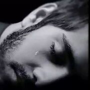 ���������� ���������, ���� ������� �������, 47 ���, ������������ ��� ������, ����� � ���������, c�������� ���������