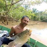  Hanau am Main,   Kavani, 36 ,   ,   