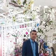 ���������� �����, ���� ������� ����, 38 ���, ������������ ��� ������, ����� � ���������, c�������� ���������