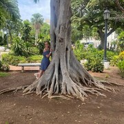 ���������� ������, ���� ������� Antonina, 31 ���, ������������ ��� ������, ����� � ���������