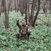 ���������� �������������, ������� Enot, 33