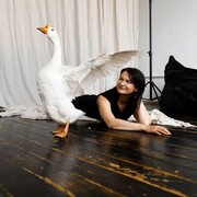 ���������� �����, ���� ������� �����, 46 ���, ������������ ��� c�������� ���������