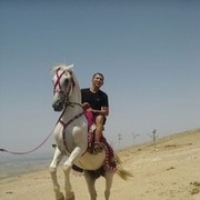  ,   , 46 ,   