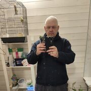  ,   , 51 ,   ,   