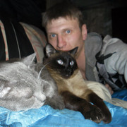 ���������� �������, ���� ������� �������, 47 ���, ������������ ��� ������, ����� � ���������, c�������� ���������