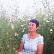 ���������� ����, ���� ������� �������, 50 ���, ������������ ��� ����� � ���������, c�������� ���������