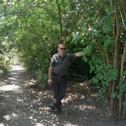 ���������� ������, ���� ������� �����, 49 ���, ������������ ��� ������, ����� � ���������