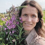 ���������� �����, ���� ������� �����, 40 ���, ������������ ��� c�������� ���������