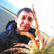  -,   , 44 ,     , c , 