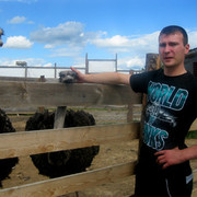 ���������� ������� ��������, ���� ������� ������, 33 ����, ������������ ��� ������