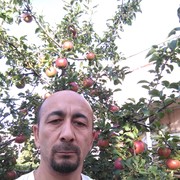  ,   , 56 ,   