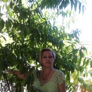 ���������� ������, ���� ������� �������, 65 ���, ������������ ��� ����� � ���������, c�������� ���������