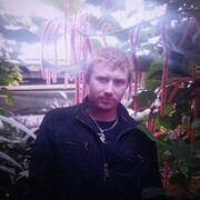  --,   Lis, 36 ,   ,   