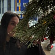 ���������� ��������, �������