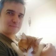 ���������� �����-���������, ���� ������� �������, 41 ���, ������������ ��� ������