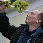 ���������� ������, ���� ������� ������, 49 ���, ������������ ��� ������, ����� � ���������, c�������� ���������