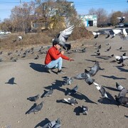 ���������� ���������, ���� ������� ����, 29 ���, ������������ ��� ������, ����� � ���������