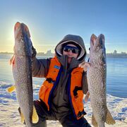 ���������� ��������, ���� ������� ������, 50 ���, ������������ ��� c�������� ���������