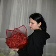 ���������� �����, ����