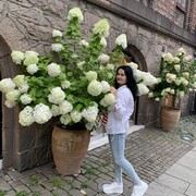  ,   , 50 ,   ,   , c , 