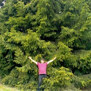  ,   , 38 ,   ,   , c , 
