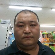  ,   , 43 ,   ,   