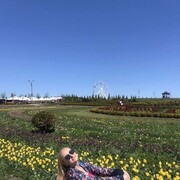 ���������� ����, ���� ������� ����, 50 ���, ������������ ��� ����� � ���������, c�������� ���������, ���������