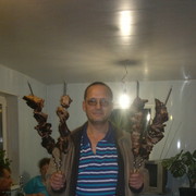 ���������� ����-��������, ������� �����, 47