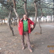  ,   , 44 ,   