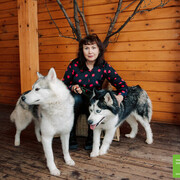 ���������� ������, ���� ������� ������, 55 ���, ������������ ��� c�������� ���������