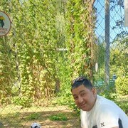  ,   Artemi, 41 ,   ,   