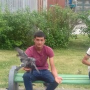 ���������� ���������, ���� ������� ���, 31 ���, ������������ ��� ������, ����� � ���������