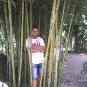 ���������� �����, ���� ������� �������, 42 ����, ������������ ��� ������, ����� � ���������, c�������� ���������