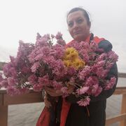  ,   , 40 ,     