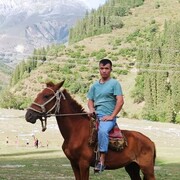 ���������� ������, ���� ������� �����, 29 ���, ������������ ��� ������, ����� � ���������, c�������� ���������, ���������