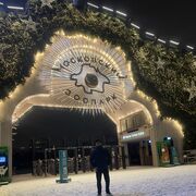 ���������� ������, ���� ������� �����, 43 ����, ������������ ��� ������, ����� � ���������, c�������� ���������