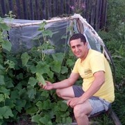 ���������� �����-���������, ���� ������� ����, 38 ���, ������������ ��� ������, ����� � ���������