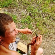   ,   , 37 ,   