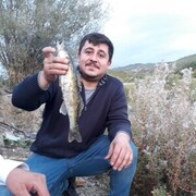  Mimarsinan,  Alibayram, 32