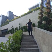  ,   , 40 ,   ,   