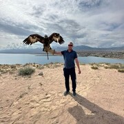 ���������� ������, ���� ������� ������, 30 ���, ������������ ��� ����� � ���������, c�������� ���������