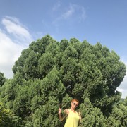 ,   , 50 ,     , c 