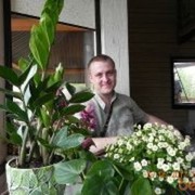  -,   , 44 ,   