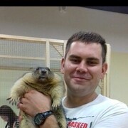 ���������� ���������, ���� ������� ���, 37 ���, ������������ ��� ������, ����� � ���������, c�������� ���������