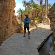 ���������� �����, ���� ������� Coitos, 38 ���, ������������ ��� ������, ����� � ���������, c�������� ���������