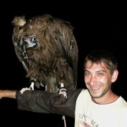  -,   Andrei, 43 ,   ,   , c 