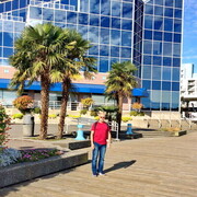 ���������� �������, ���� ������� Vikont, 60 ���, ������������ ��� ������, ����� � ���������, c�������� ���������