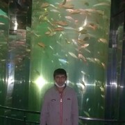 ���������� �����-���������, ���� ������� �����, 41 ���, ������������ ��� ����� � ���������, c�������� ���������, ���������