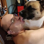  ,   , 52 ,   ,   , c 